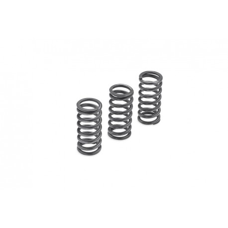 MILWAUKEE-EIGHT ENGINE CLUTCH SPRINGS – 1275N