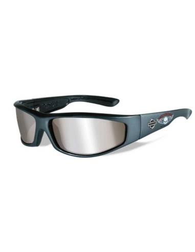 GAFAS DE SOL H-D REVOLVER WILLIE G. SKULL, WILEY-X GRAY