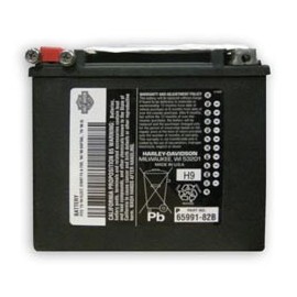 66000209 BATERÍA HARLEY DAVIDSON  AGM 65991-82