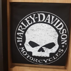 H-D SIEBLA MALAGA T-SHIRT GRAY