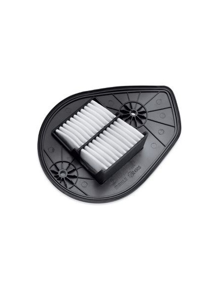 FILTRO AIRE STREET 750