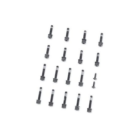 KIT DE TORNILLERÍA NEGRA - TAPA DE LEVA Y TAPAS DE TAQUÉS