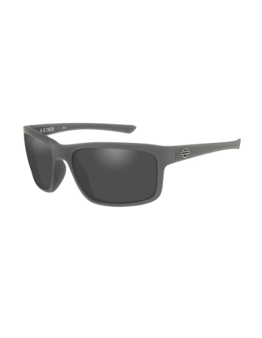 GAFAS H-D TWIN Smoke Grey Matte Grey Frame