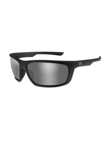 HAGRS02 GAFAS H-D GEARS Grey Silver Flash Matte Black Frame