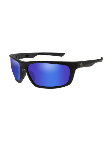 HAGRS12 GAFAS H-D TWIN Smoke Grey Matte Grey Frame