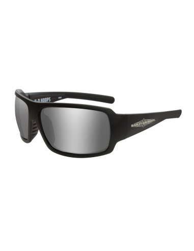 HAHPS02 GAFAS H-D TWIN Smoke Grey Matte Grey Frame