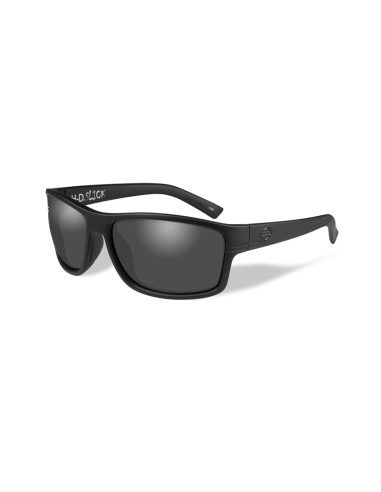 HASLK01 GAFAS H-D TWIN Smoke Grey Matte Grey Frame