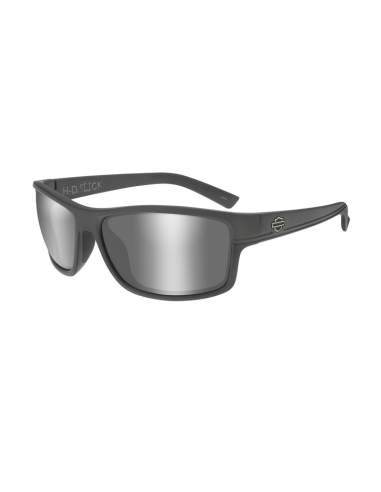 HASLK04 GAFAS H-D TWIN Smoke Grey Matte Grey Frame