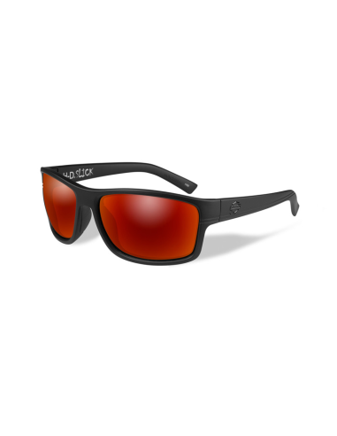 HASLK11 GAFAS H-D TWIN Smoke Grey Matte Grey Frame