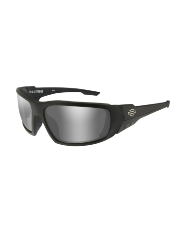 HASTR02 GAFAS H-D 4 STROKE Grey Silver Flash Matte Black Frame