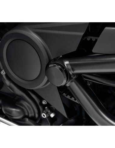 47500047 TAPAS DE LOS TORNILLOS DEL EJE BASCULANTE HARLEY DAVIDSON