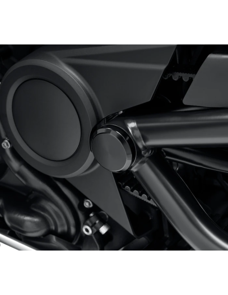 47500047 TAPAS DE LOS TORNILLOS DEL EJE BASCULANTE HARLEY DAVIDSON