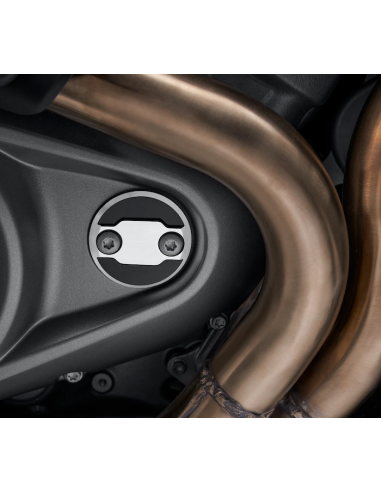 Wild One Timer Medallion by Harley Davidson