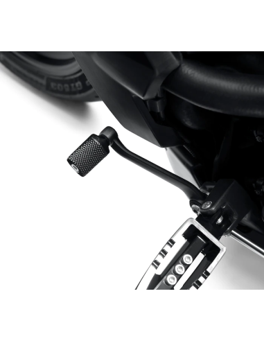 Harley Davidson Wild One Shifter Peg