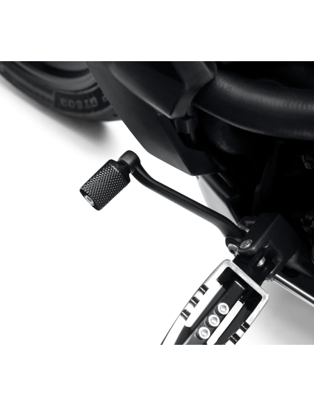 Harley Davidson Wild One Shifter Peg