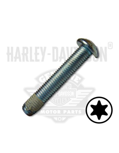 5/16"-18 x 1-1/4" UNC Torx Button Head con Lockpatch (Inoxidable) HARLEY-DAVIDSON