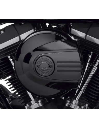 Willie G Skull Air Cleaner Trim by Harley Davidson
