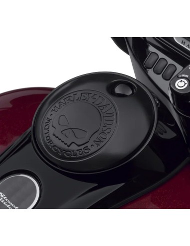Willie G Skull Fuel Tank Console Door by Harley Davidson