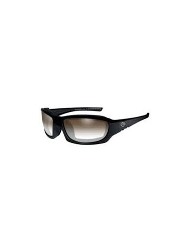 HD GEM LA COPPER GLOSS BLACK FRAME