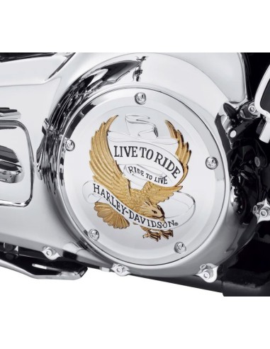 Live to Ride Derby Cover