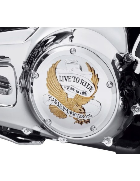 Live to Ride Derby Cover