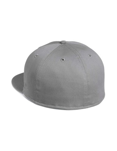 Gorra Harley Davidson para hombre gris perla