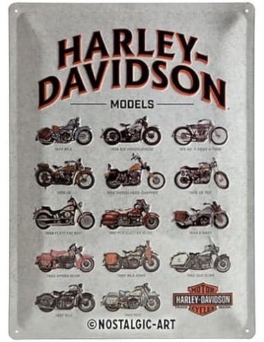 NOSTALGIC- HALRYE DAVIDSON MODELS 30X40