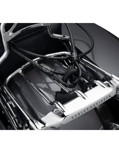 MECH SCTY,DBL-LOOPED CABLE,7FT