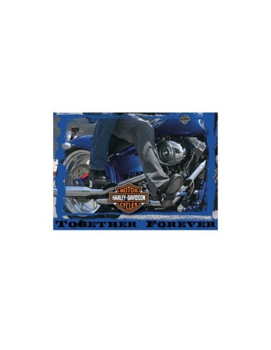 HARLEY DAVIDSON TOGETHER FOREVER ANNIVERSARY CARD