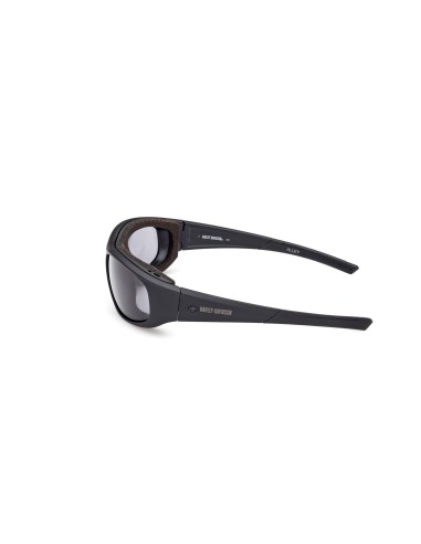GAFAS HARLEY DAVIDSON FOTOCROMÁTICAS POLARIZADAS PARA MOTO SMOKE