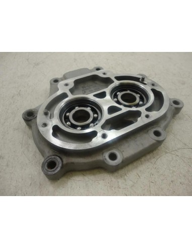 BEARING HOUSING ASSY, SILVER