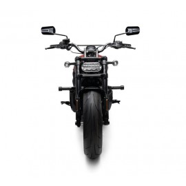 FLAT-OUT HARLEY DAVIDSON PROTECTOR BAR 2