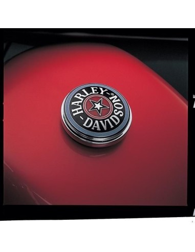 GAS CAP MEDALLION, CLOISONNE'