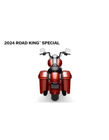 HARLEY DAVIDSON BILLIARD GRAY BLACK ROAD KING™ SPECIAL 2024