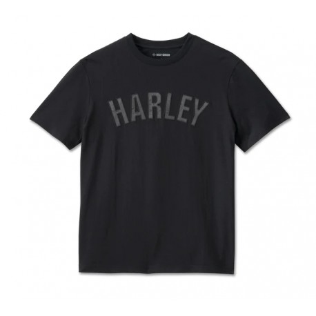 Harley Davidson Off Roads Tee Men's T-Shirt