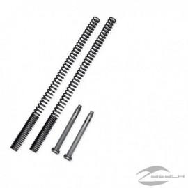 Suspension Harley-Davidson Sportster 2