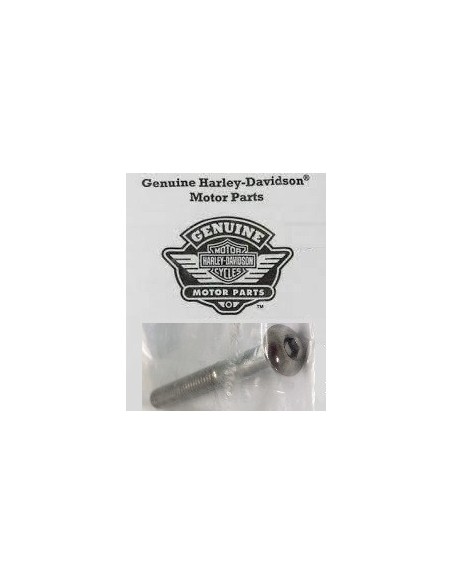 SCREW, EX SOCKET BUTTON EAD