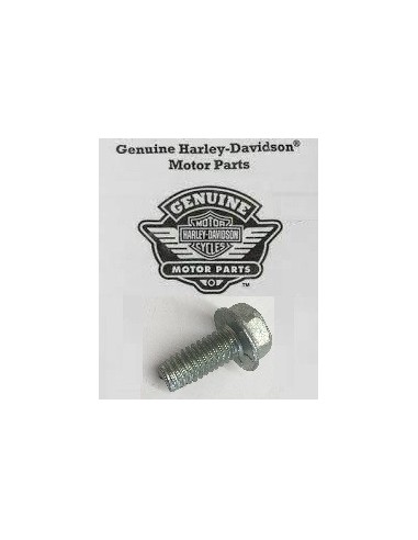 4328 HARLEY DAVIDSON SCREW, SELF TAPPING