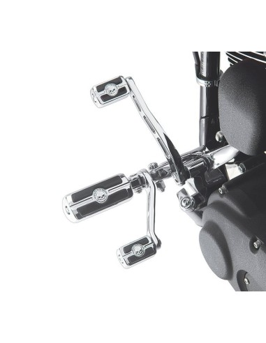 Estribera Wille G. Skull