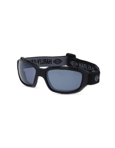 Gafas Harley Davidson de alto rendimiento, Battery