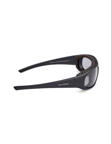 Gafas Harley Davidson de alto rendimiento, Alley
