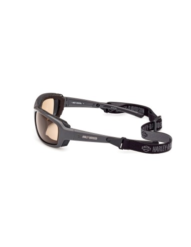 Gafas Harley-Davidson de moto GENERA gris/marrón– fotocromáticas HZ00026520E