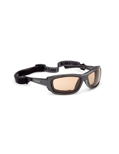 Gafas Harley-Davidson de moto GENERA gris/marrón– fotocromáticas HZ00026520E