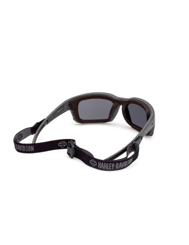 Gafas Harley-Davidson de moto CLASSIC EAGLE gris / ahumado espejo HZ00046520C