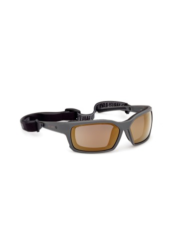 Gafas Harley-Davidson de moto CLASSIC EAGLE gris / ahumado espejo HZ00046520C