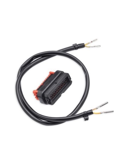 Cableado Harley Davidson del sistema Boom! Audio 69200033