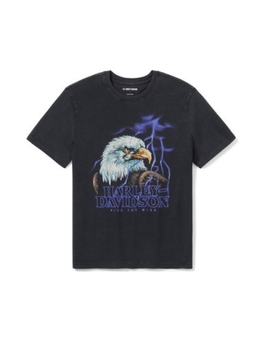 Camiseta Lightning Harley Davidson Eagle para hombre