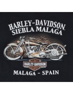 40294702 OFFICIAL HARLEY DAVIDSON SIEBLA T-SHIRT Haunted Fall25 2
