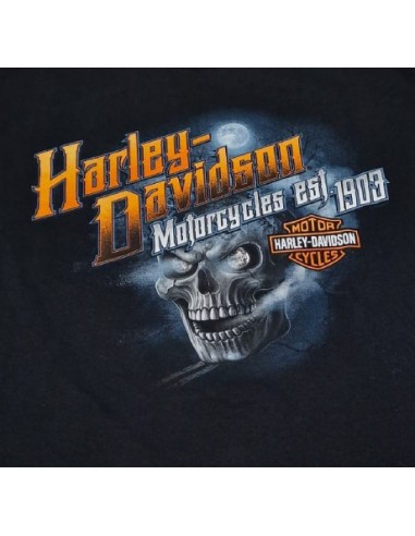 40294702 OFFICIAL HARLEY DAVIDSON SIEBLA T-SHIRT Haunted Fall25