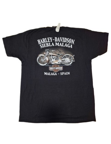 40294703 CAMISETA HARLEY DAVIDSON SIEBLA OFICIAL Grit Fall25